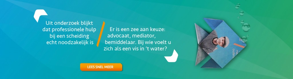 Door wie laat u uw scheiding regelen? - Scheidingsplanner Maastricht | Heerlen | Gulpen