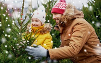 Verdeling feestdagen na de scheiding